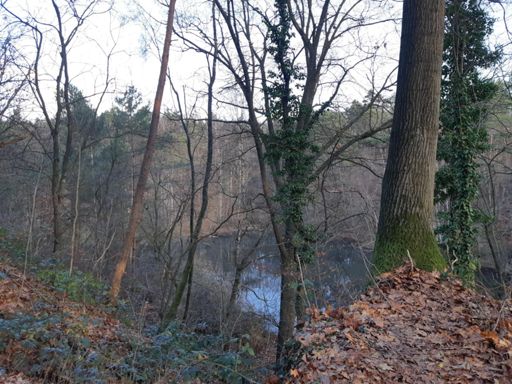 Jammerdaalsche Heide