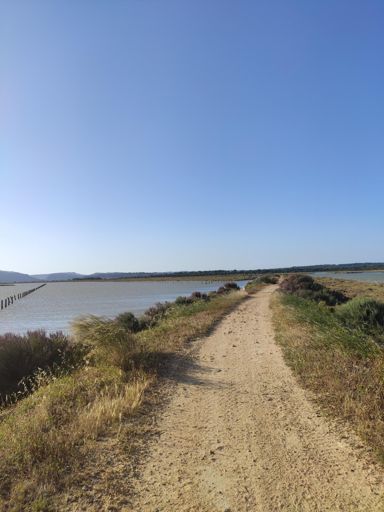 Temporal de levante brutal. Las marismas parecían plena alta mar