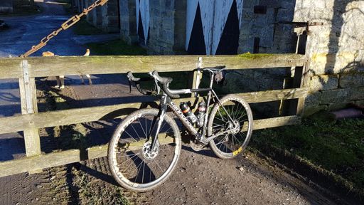 vor dem Hund geflüchtet...😂