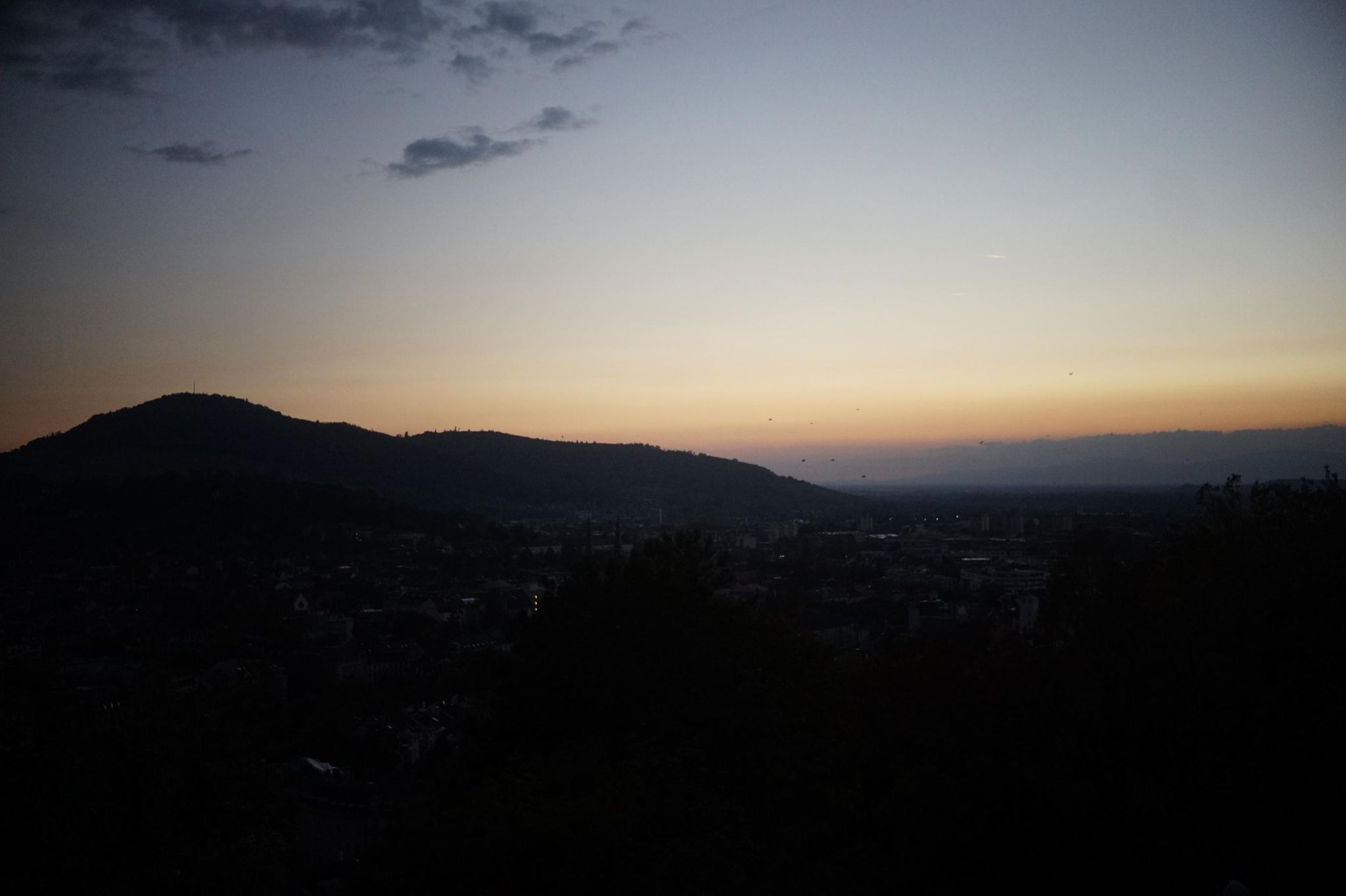 Activity photo