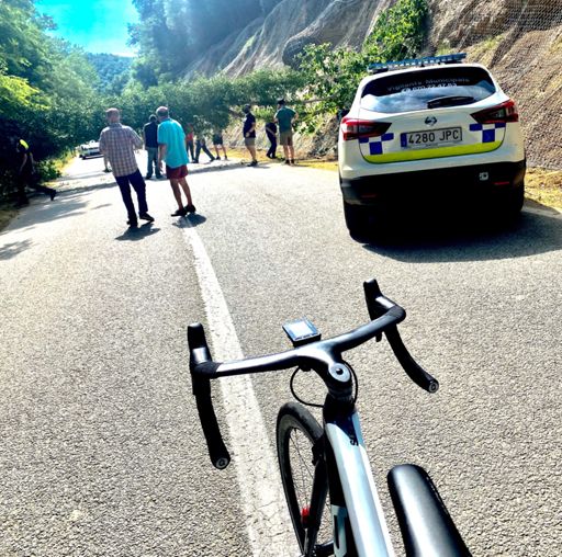 árbol 🌲 vaaaaaa!!!
