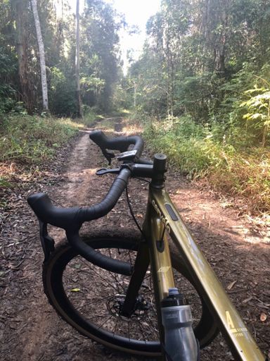 Somewhere on a trail between TopForestry Rd and Wellington Rd