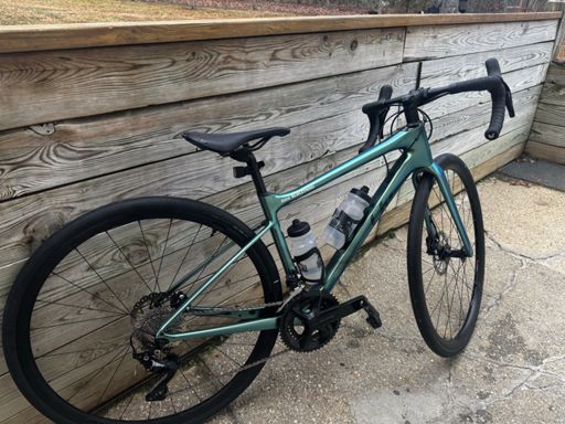 Meet the Mystic Squirrel 