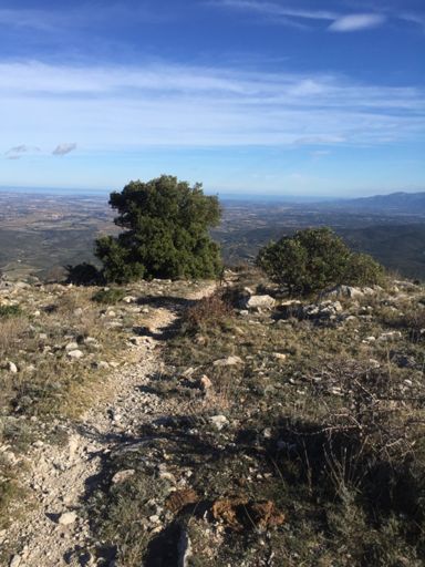 Gaffe aux cailloux et aux marches!