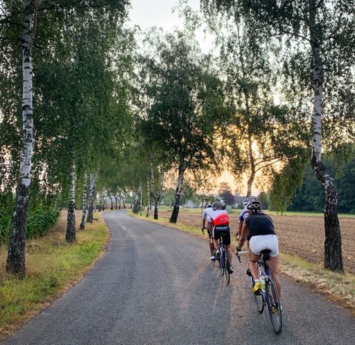 Birkenallee Oberlangenstadt