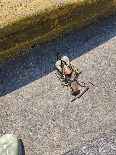 Bro just died on his way to work in the morning.