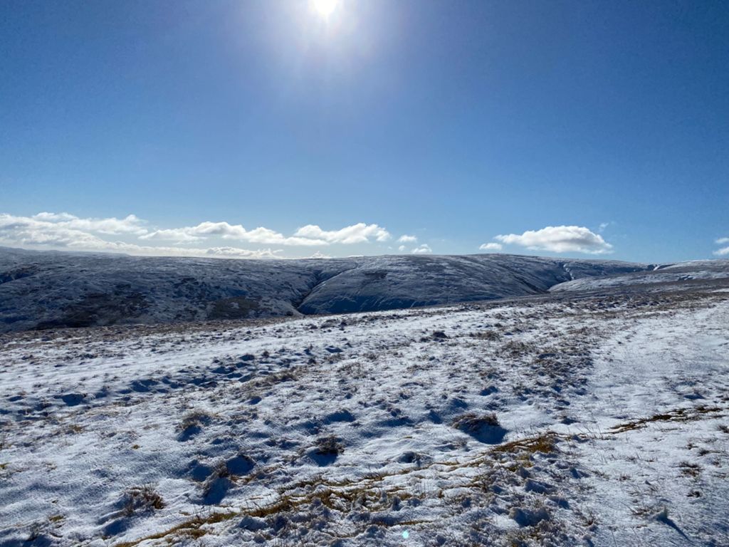 Martindale Hike-9