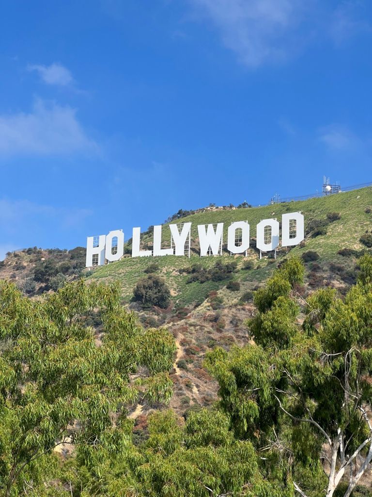 NBB run - Lake Hollywood: фото 144