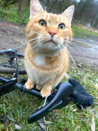 Mazlííííííík :-)