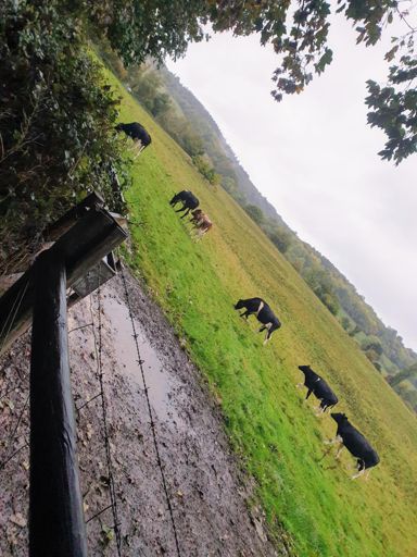 At least i had some company