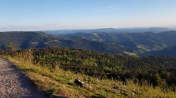 Mummelsee Wildsee
