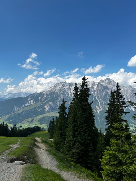 route-highlight