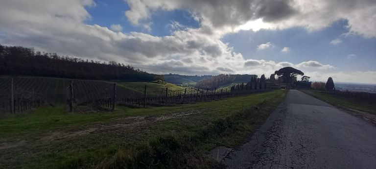 route-highlight
