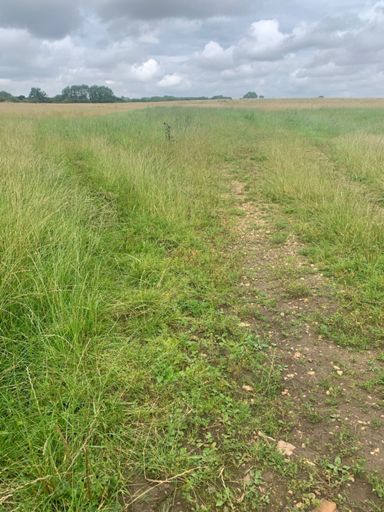 A wrong turn ending up in a field