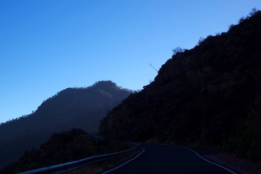 We zijn allemaal zoals bomen op een richel (echt waar).