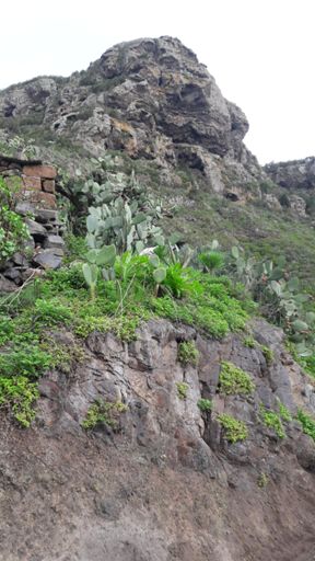 Qué mal fotógrafo soy: el roque es enorme y en la foto parece pequeño, no sé darle perspectiva