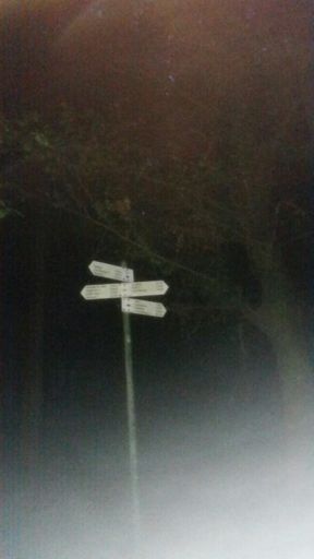 Schöne Nachtrunde mit team-speedzone.de