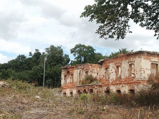 Włostów, ruiny pałacu Karskich.