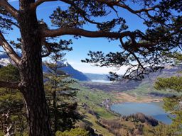 Gotterli, lac des 4 cantons
