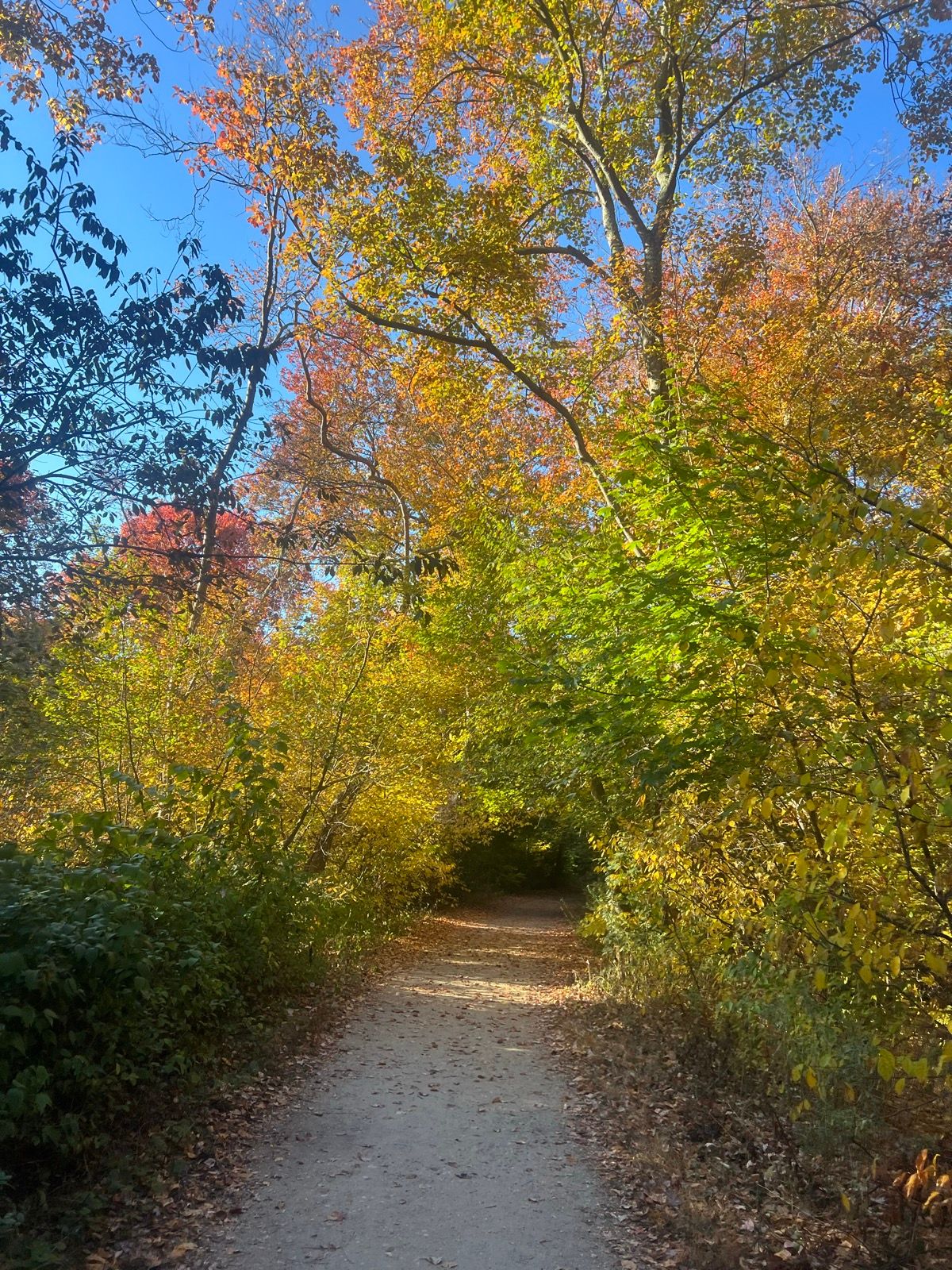 Nassau Suffolk Greenbelt Trail