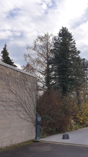 Kahl am Main_ID23728_UM_In den Erlichgärten 12