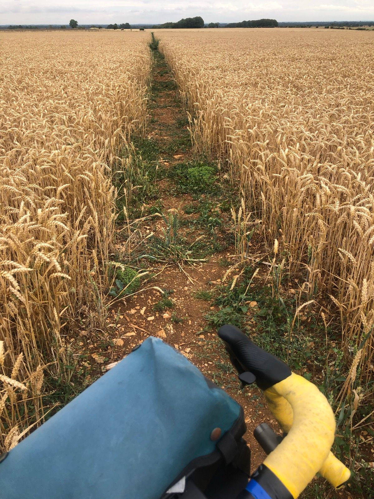 First bridleway of the day