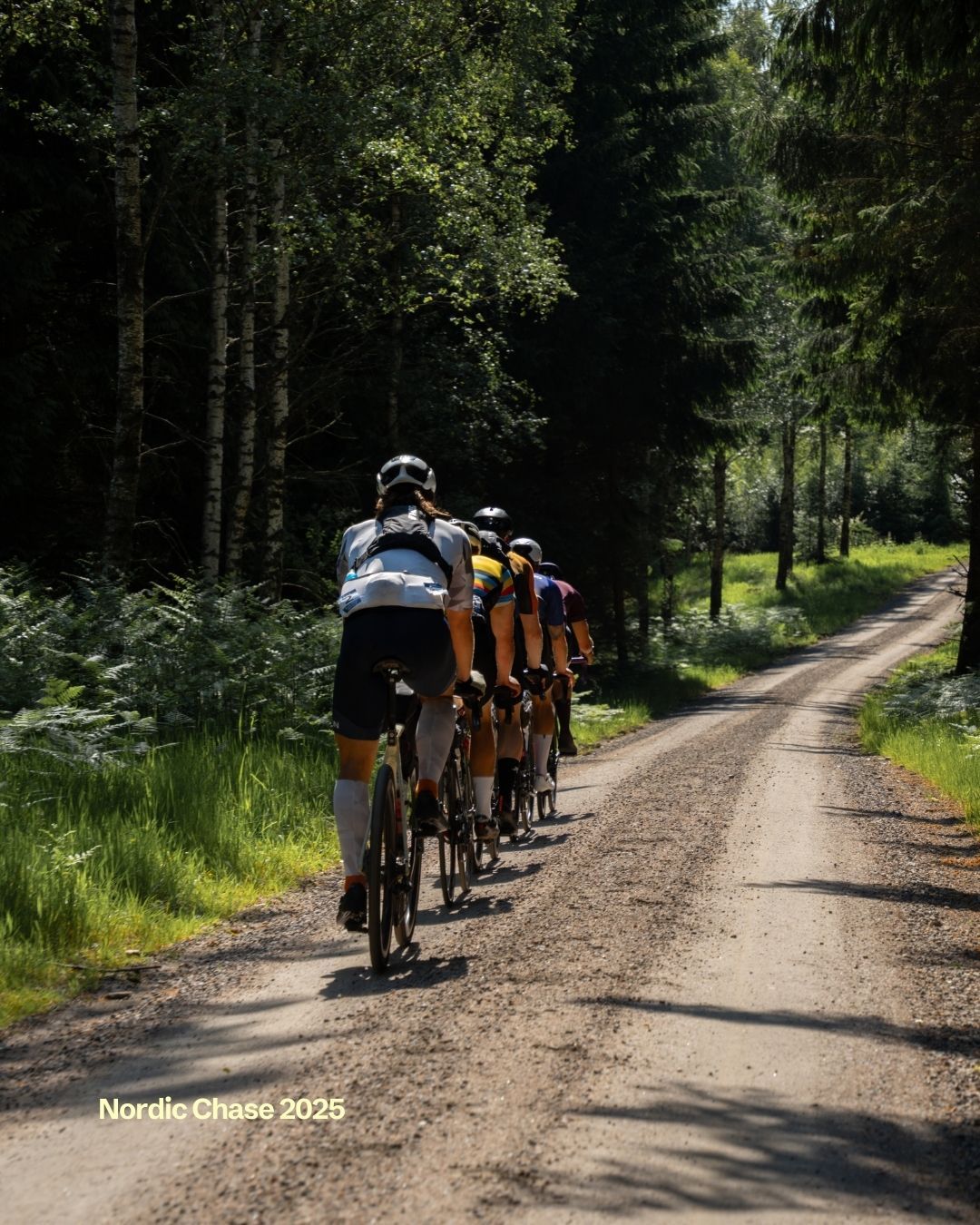 34枚 Maasmechelen, Limburg, Belgium | Heathland Gravel (Unbound Gravel
