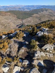Montagne du Cheiron avec ma soeur