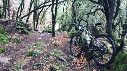 C'est le paradis ici 😁👌🏻