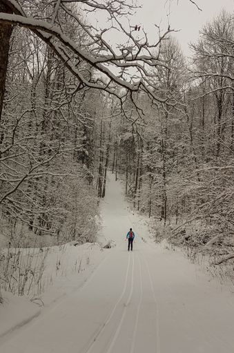 Беголыжная трасса Переславля-Залесского. 	