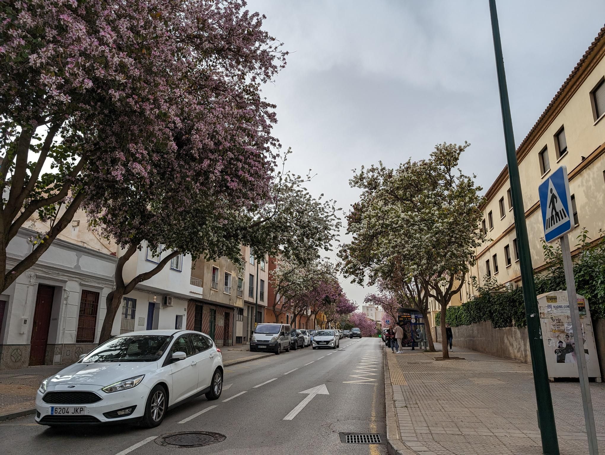 Andalusia Bike packing - Day 6 photo 2