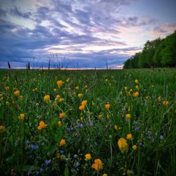 Sortie à vélo le soir