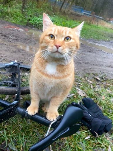 Že prej bez něj dál nejedu :-D