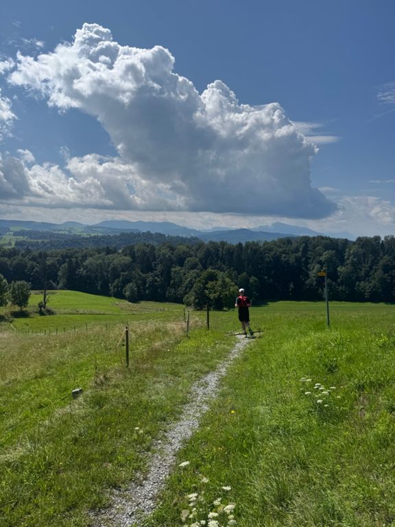 route-highlight