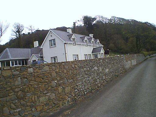 Dog 🐕 on wall again 😊