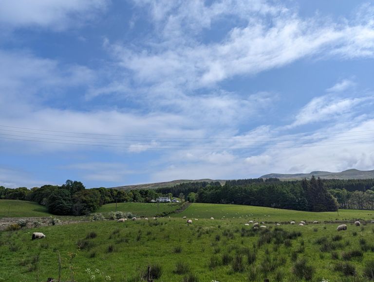 SBC Tempo CV, Crow & Aberfoyle 109.8 km Cycling Route on Strava