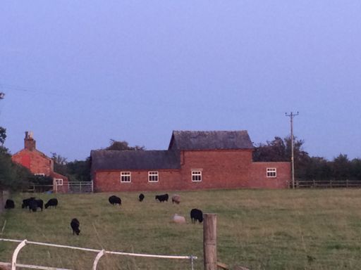 Bar Barr  black sheep have you any beer 😂😂😂