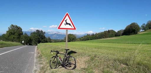 La nouvelle gazelle ...