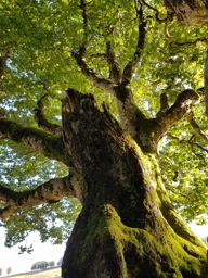 Entre le col d’Amic et le Vieil Armand