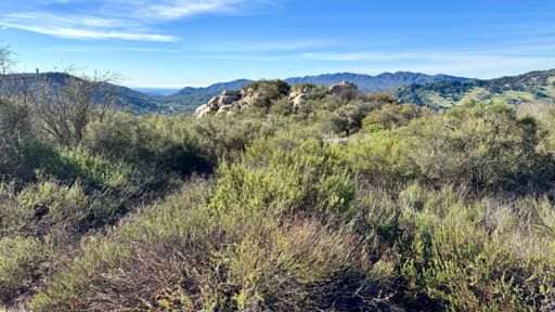 Avenida Escala - Murrieta, CA