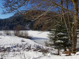 Retournemer Hohneck via la Schlucht