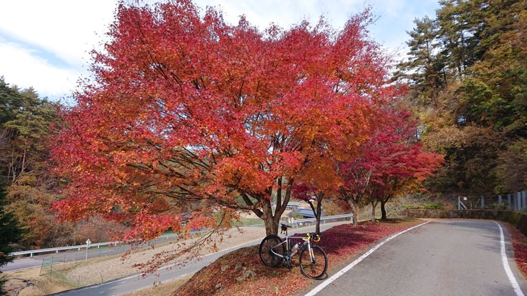 オレンジ→赤のグラデーションが綺麗だった。