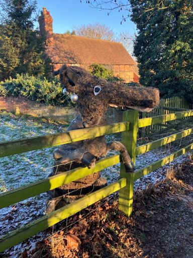 Christmas reindeer taking a break!