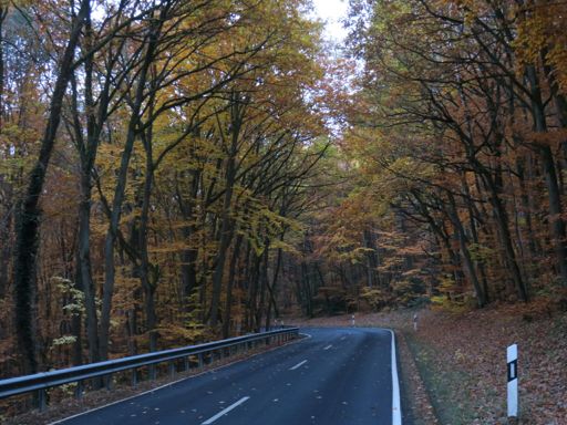 Herbstwald Richtung Ramersbach