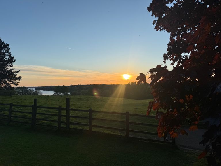 🌅 7️⃣