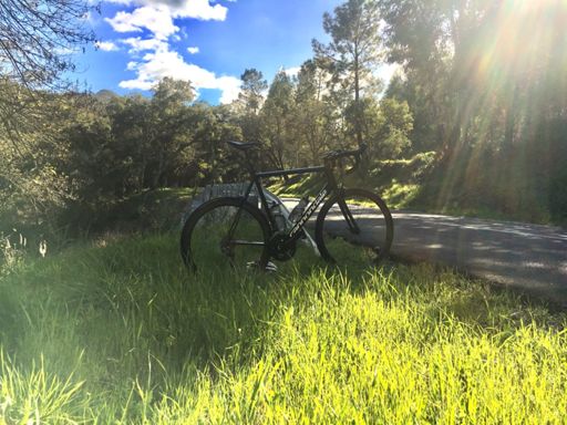 Tapada Nacional de Mafra