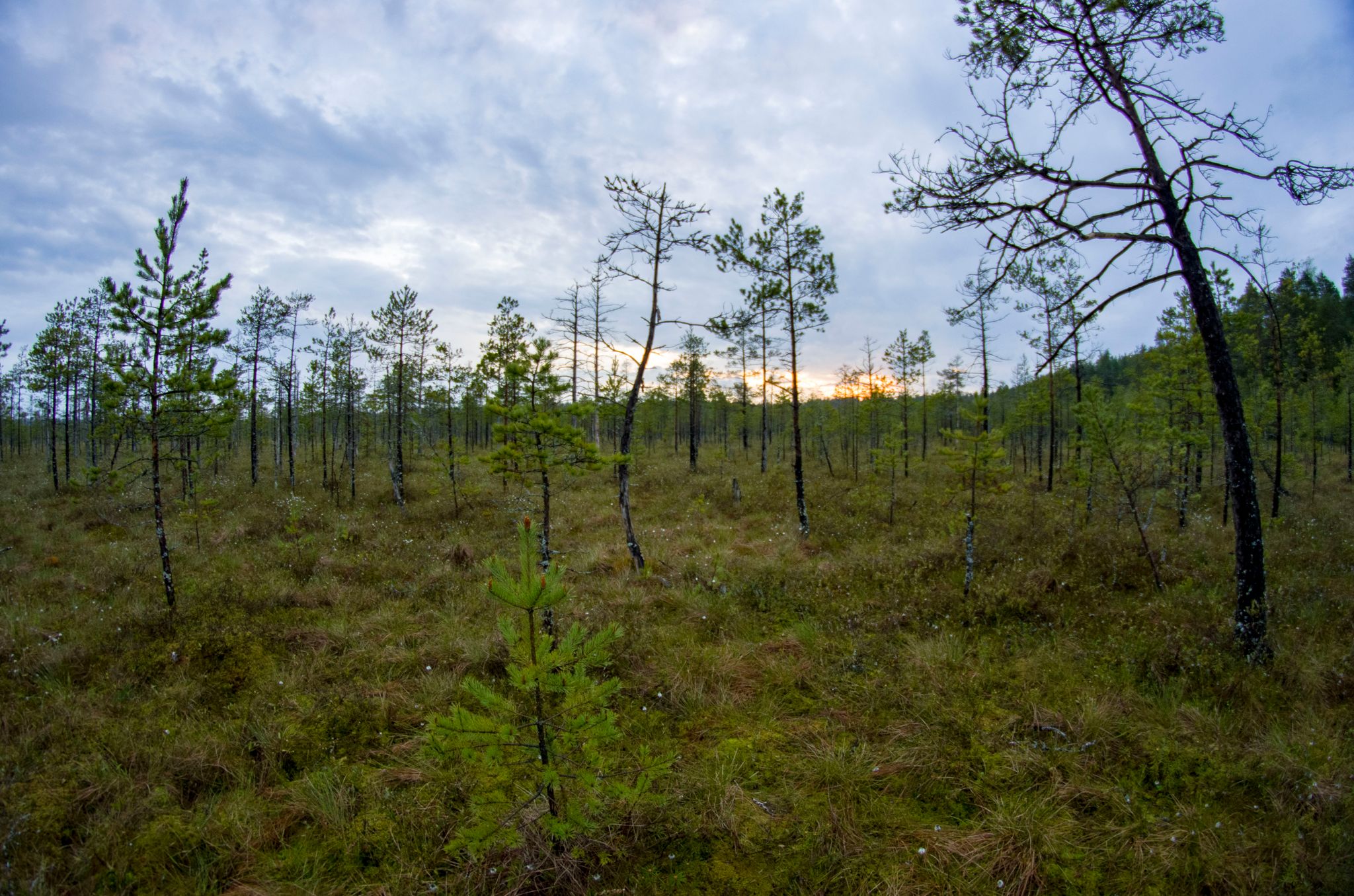 Tetz4nhxsaSlSQuQlnOyQ3o87NDylIftedb9A3q0