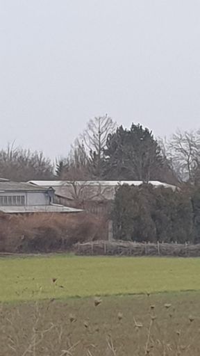 Harxheim_ID24205_UM_Am Rheinhessenblick 10