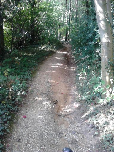 Geen weg voor een racefiets, maar t kan wel :-)