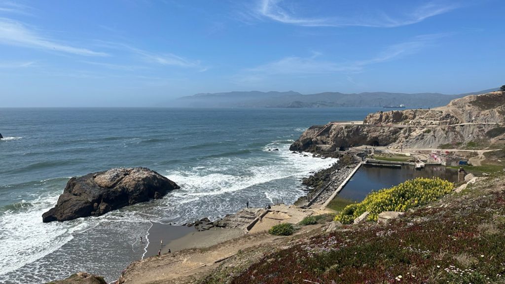 Butterlap (Presidio & Golden Gate Park) photo 58